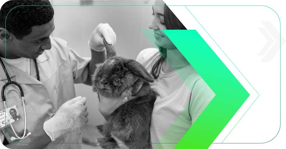 Saiba mais sobre: O Futuro dos Cuidados Veterinários: Conectando com Donos de Pets no Mundo Digital