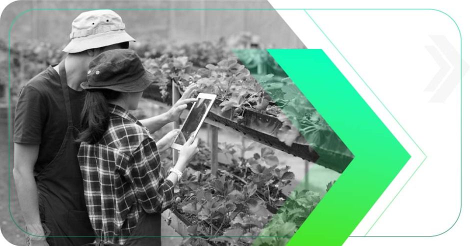 5 Estratégias Eficazes de Marketing Digital para Agronegócios