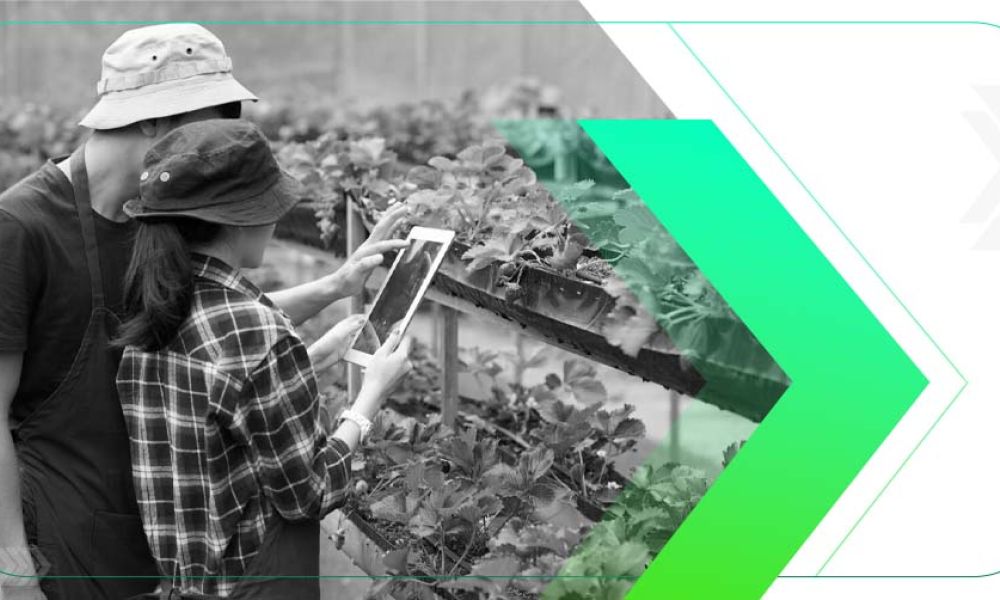 5 Estratégias Eficazes de Marketing Digital para Agronegócios
