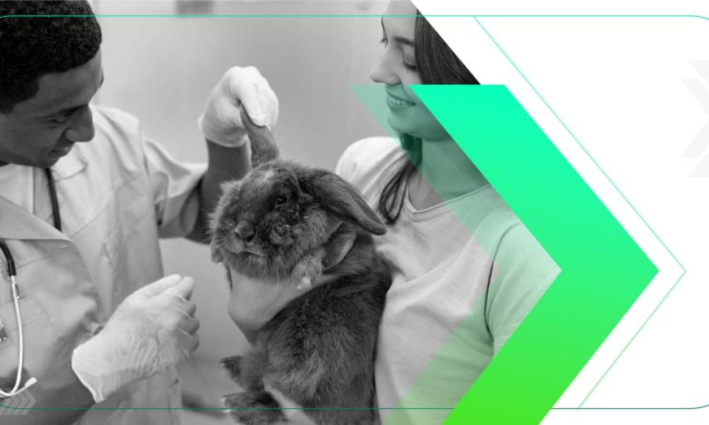 O Futuro dos Cuidados Veterinários: Conectando com Donos de Pets no Mundo Digital