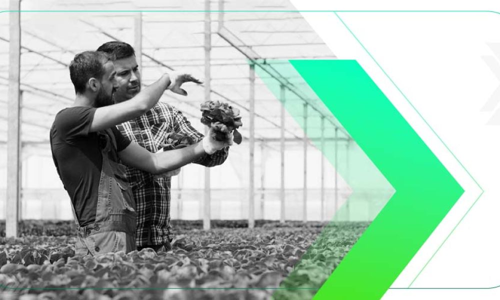 6 Vantagens da Consultoria de Marketing Agrícola para Seu Negócio
