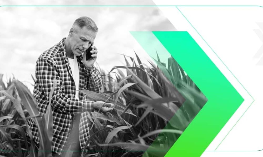 05 Motivos para Contratar uma Agência de AgroMarketing